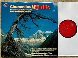 Chumm ins WALLIS Kapelle Lengacher Felix Schmid LP GEWASCHEN