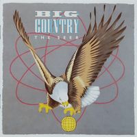 CD Big Country - The seer (1986)