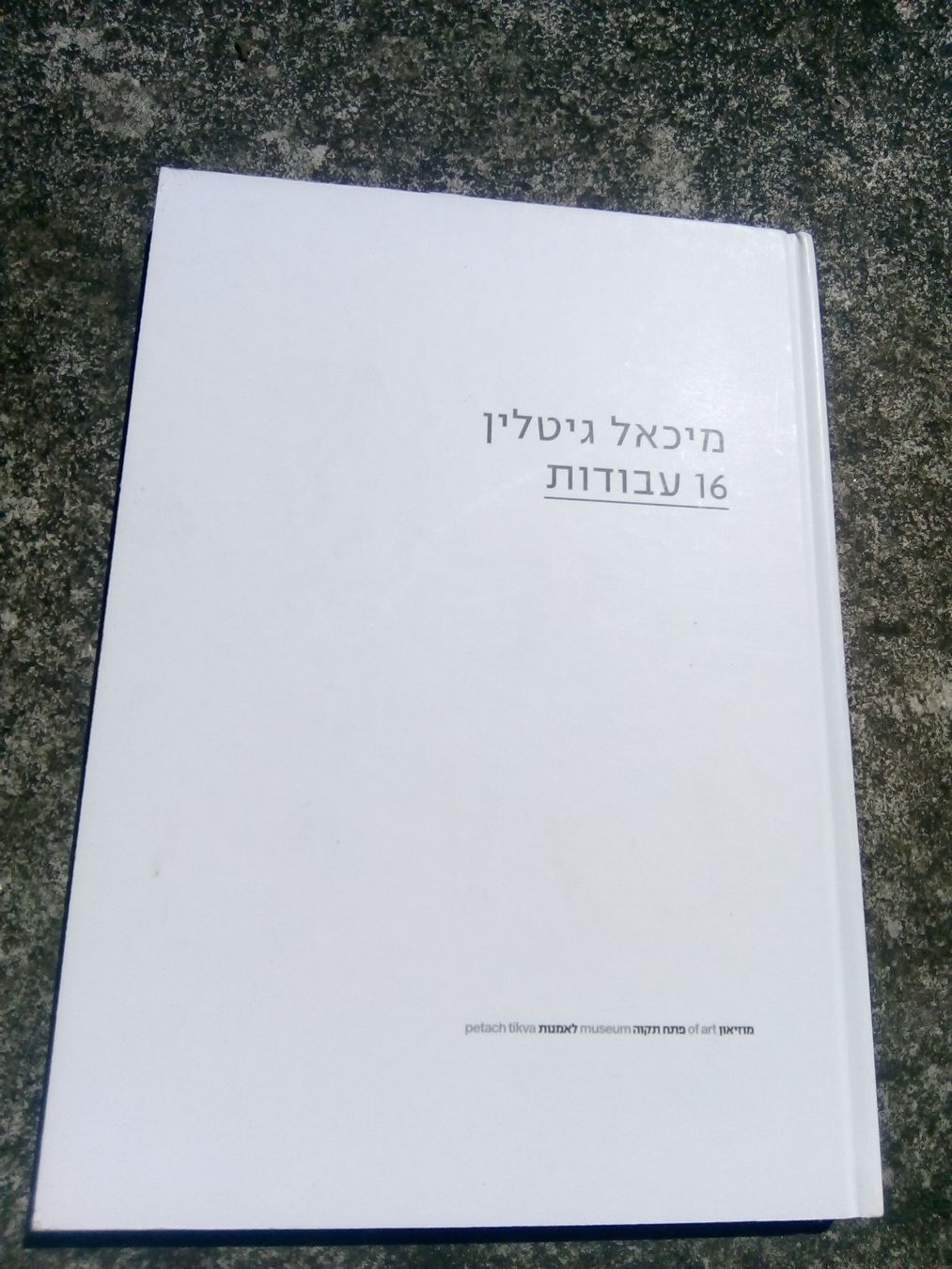 Libri: Michael Gitlin: 16 Works (Kunstbuch)   ©'2014 – Usato da St.Galllen venduto da elkaphone 8