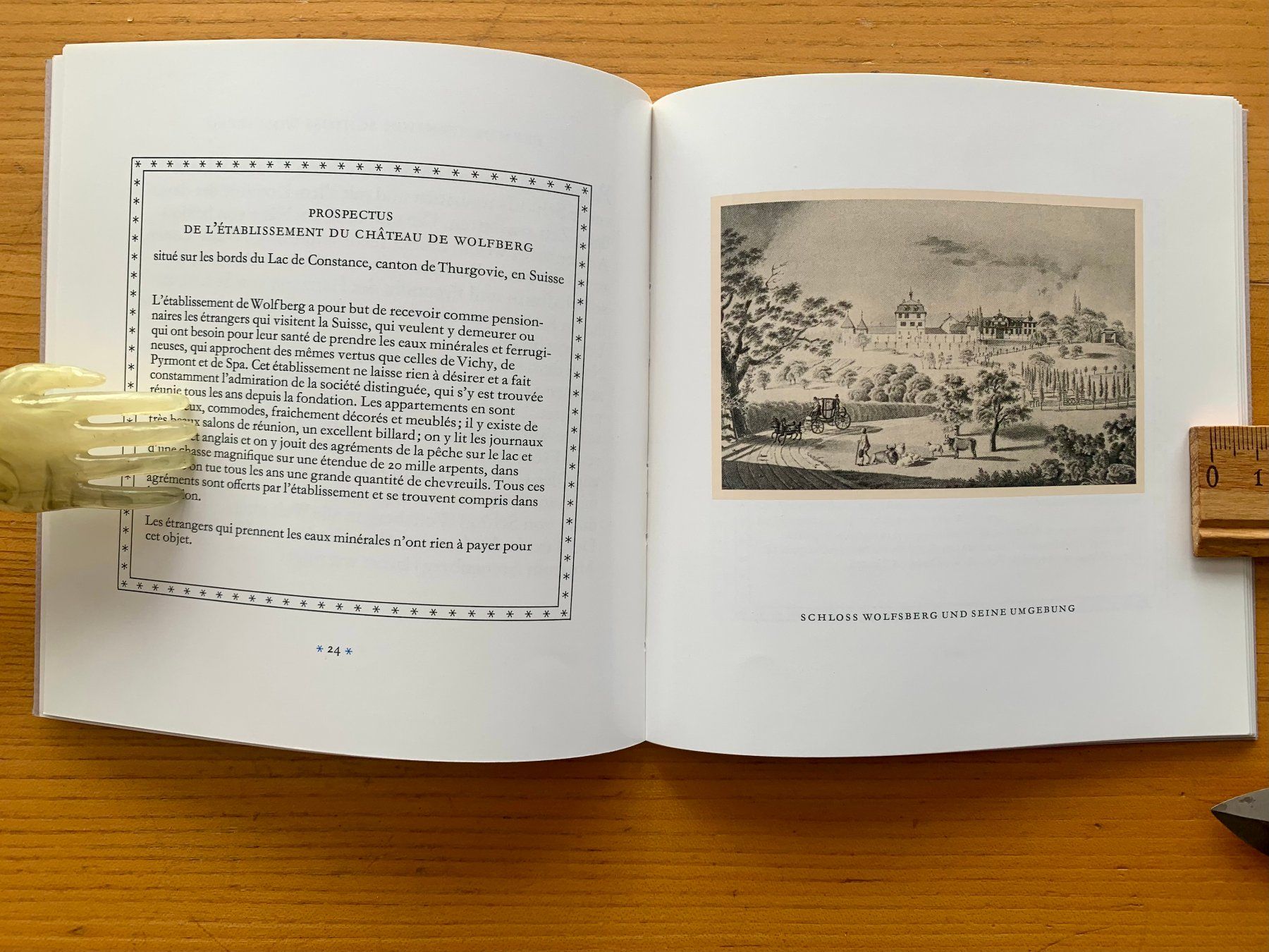 Libri: Schloss Wolfsberg Geschichte – Usato da Altstätten SG venduto da alpalfa 2