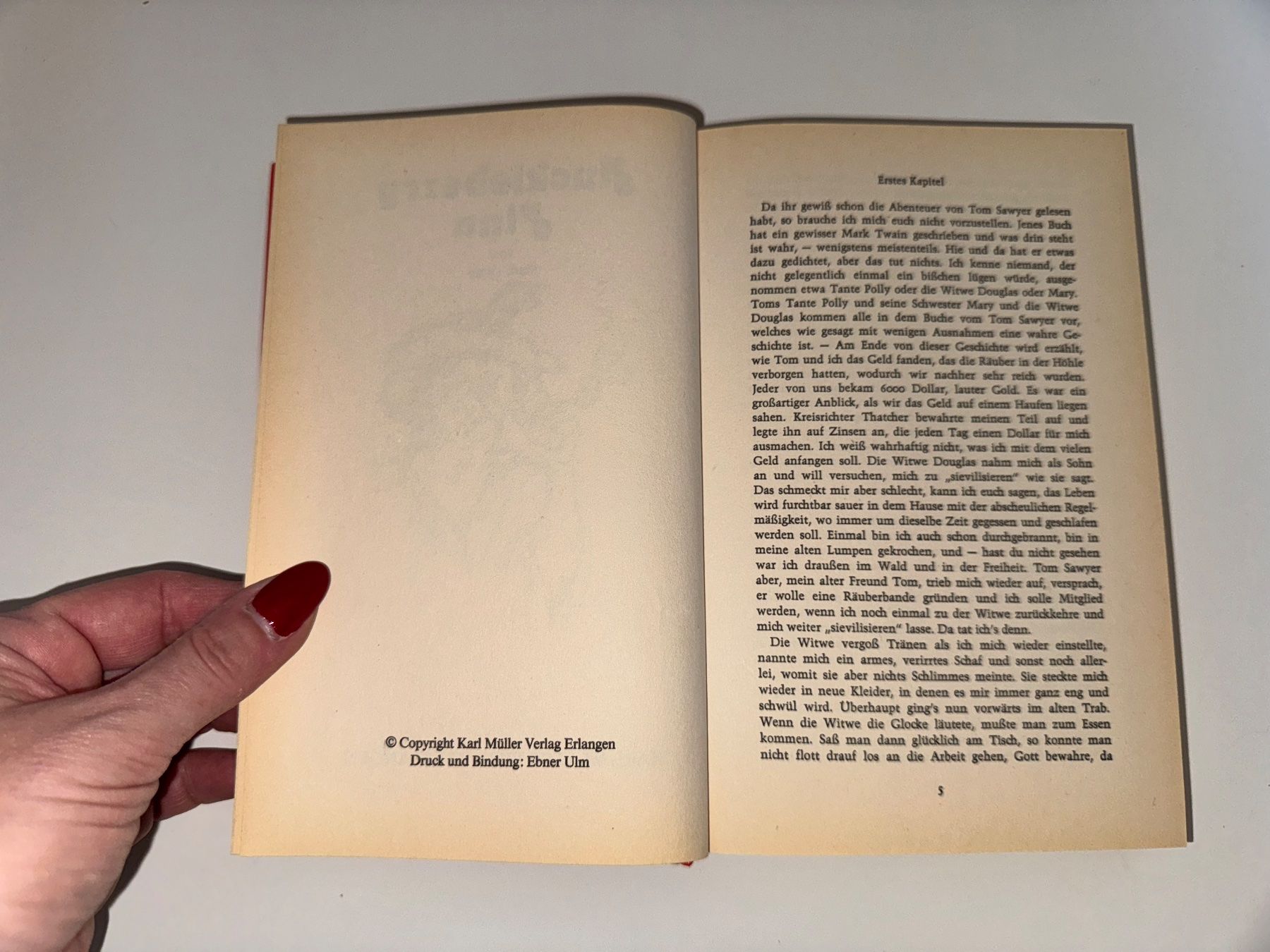 Libri: BUCH: Mark Twain, Huckleberry Fynn – Usato da Grosswangen venduto da Kleine.Knoepfe 3