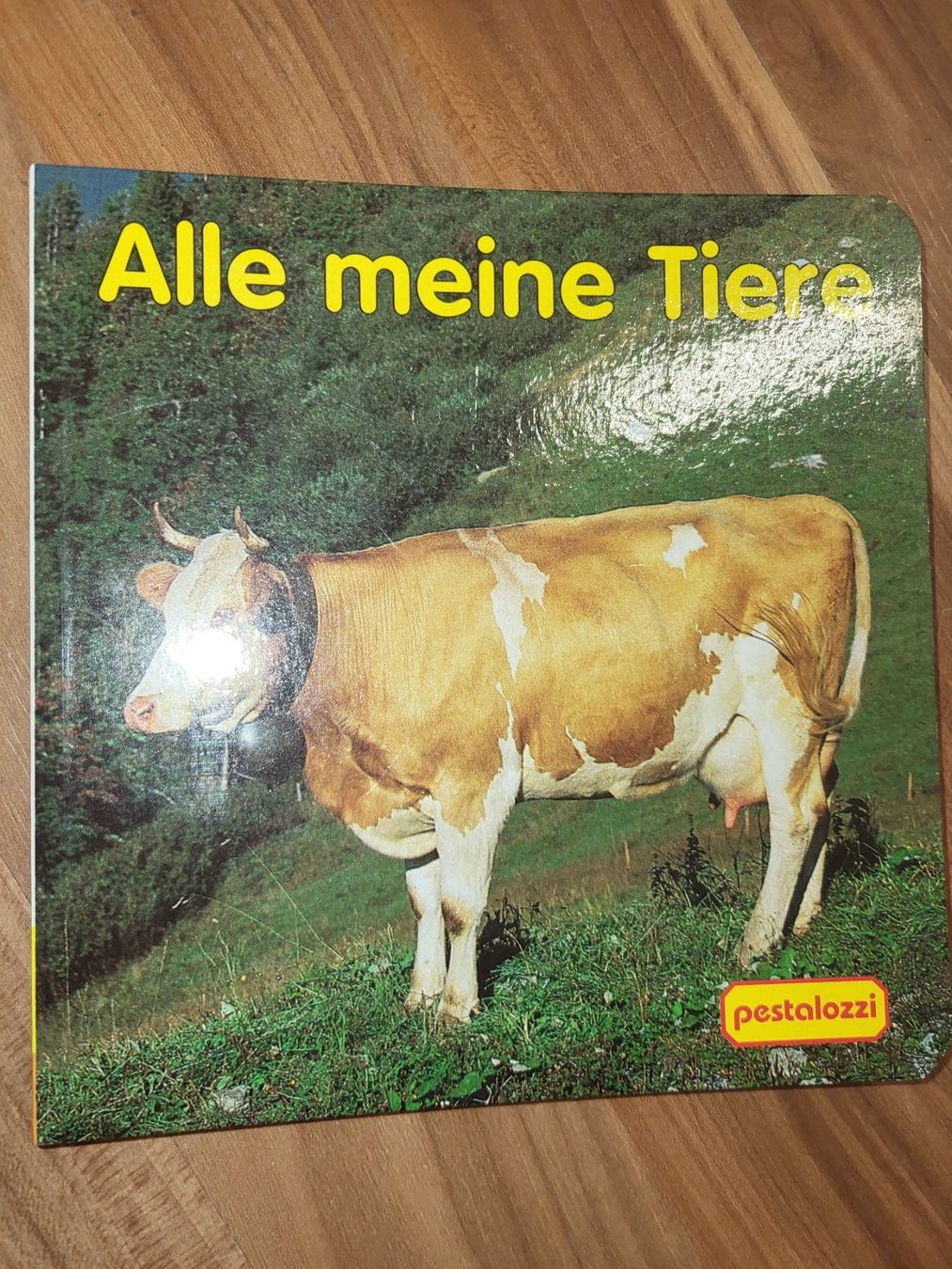 Bücher: Bilderbuch alle meine Tiere – Neu (gemäss Beschreibung) aus Schwarzenburg von Flamingo07