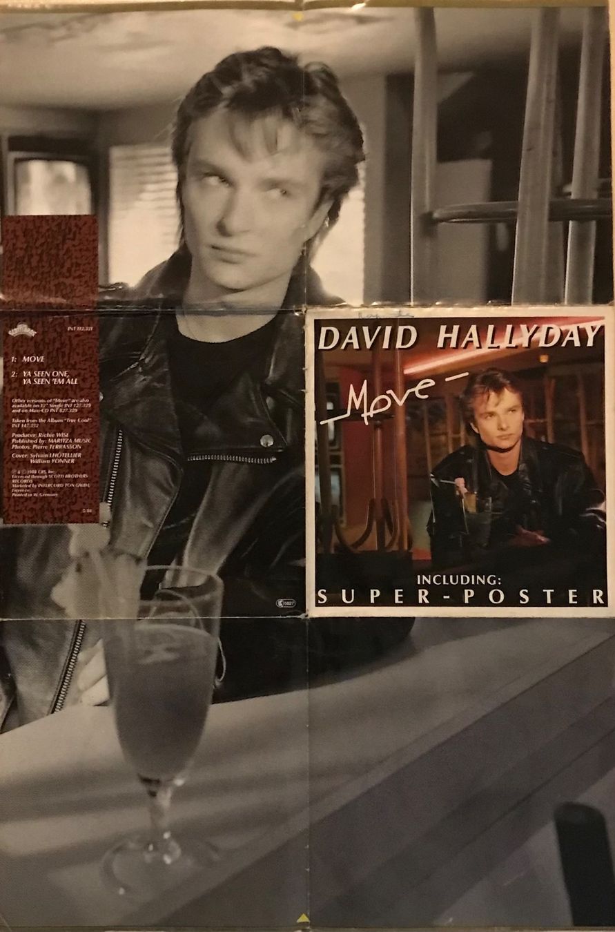 Vinyles: DAVID HALLYDAY - MOVE – D'occasion à Bussigny par vinyl-pas-cher 5