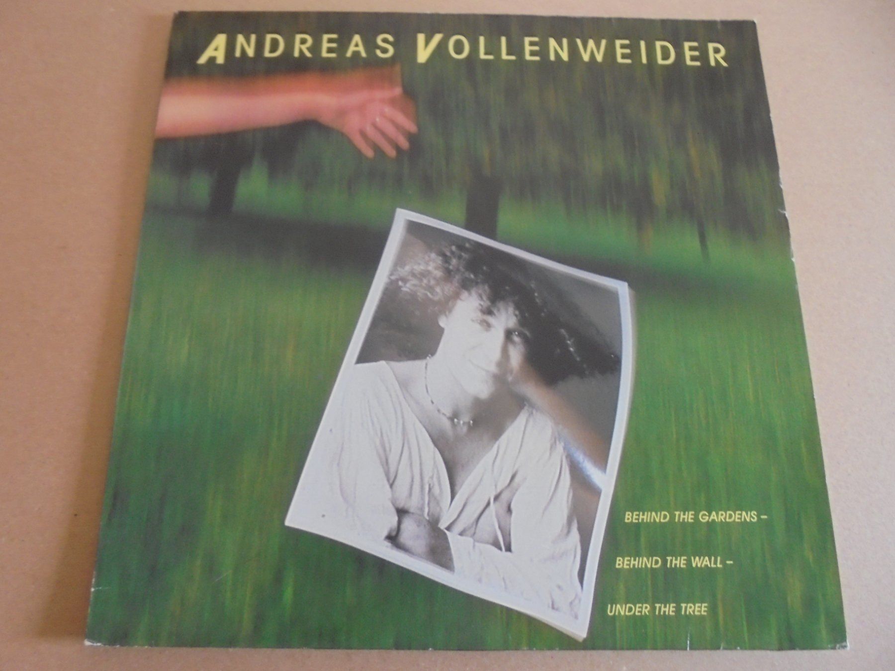 Schallplatten: Andreas Vollenweider " Behind The Gardens, Behind the..." LP – Gebraucht aus Crissier von Promopost