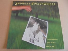 Andreas Vollenweider " Behind The Gardens, Behind the..." LP
