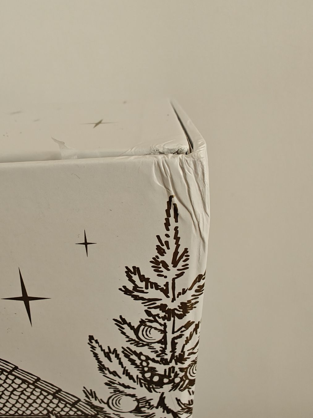 Globus Tutte le decorazioni: Adventskalender Globus empty – Usato da Wabern venduto da kat_w92r 8