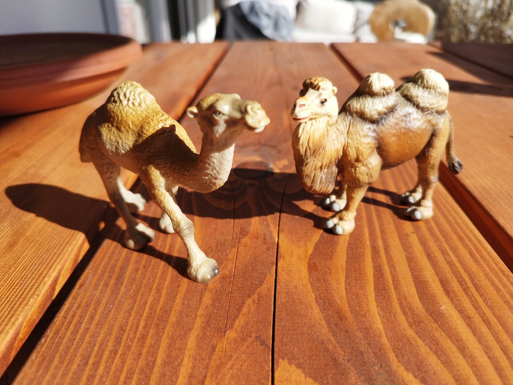 Schleich Spielzeuge: Schleich Tiere – Gebraucht aus Krauchthal von AnnalenaS01 2