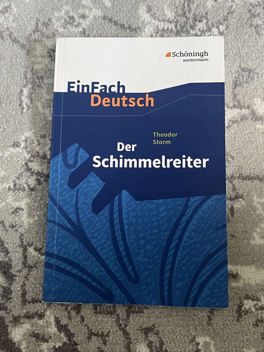 Libri: Der Schimmelreiter - Theodor Storm – Nuovo (secondo la descrizione) da Gebenstorf venduto da ani_fj2g