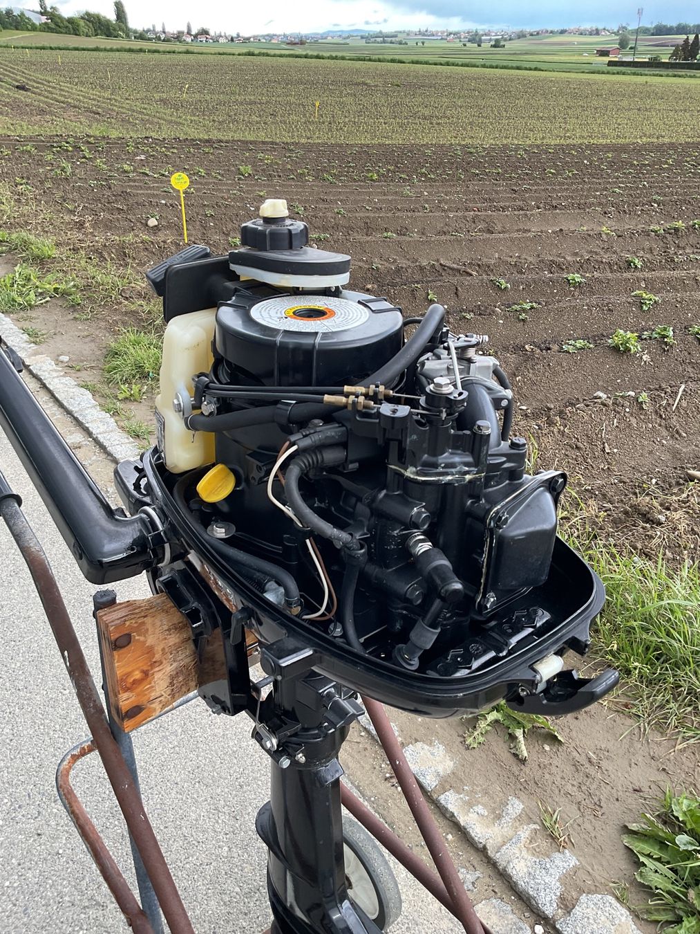 Mercury Motori: Aussenbordmotor Mercury F6M – Usato da Hagneck venduto da Kobogero 2