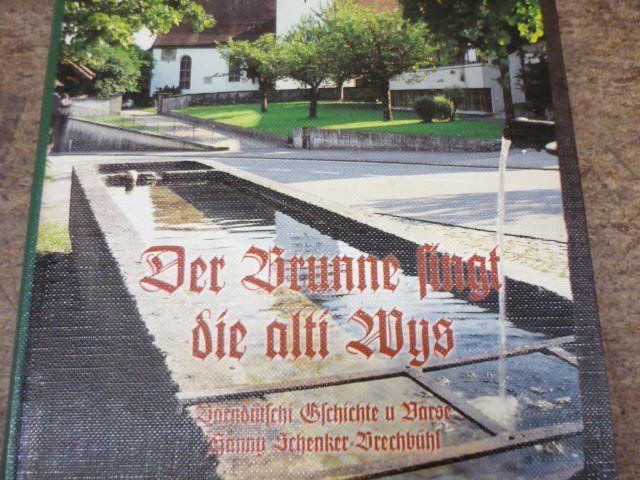 Libri: Berndeutsche Bärndütschi Bücher Berner Dialekt – Usato da Belp venduto da Polexli 7