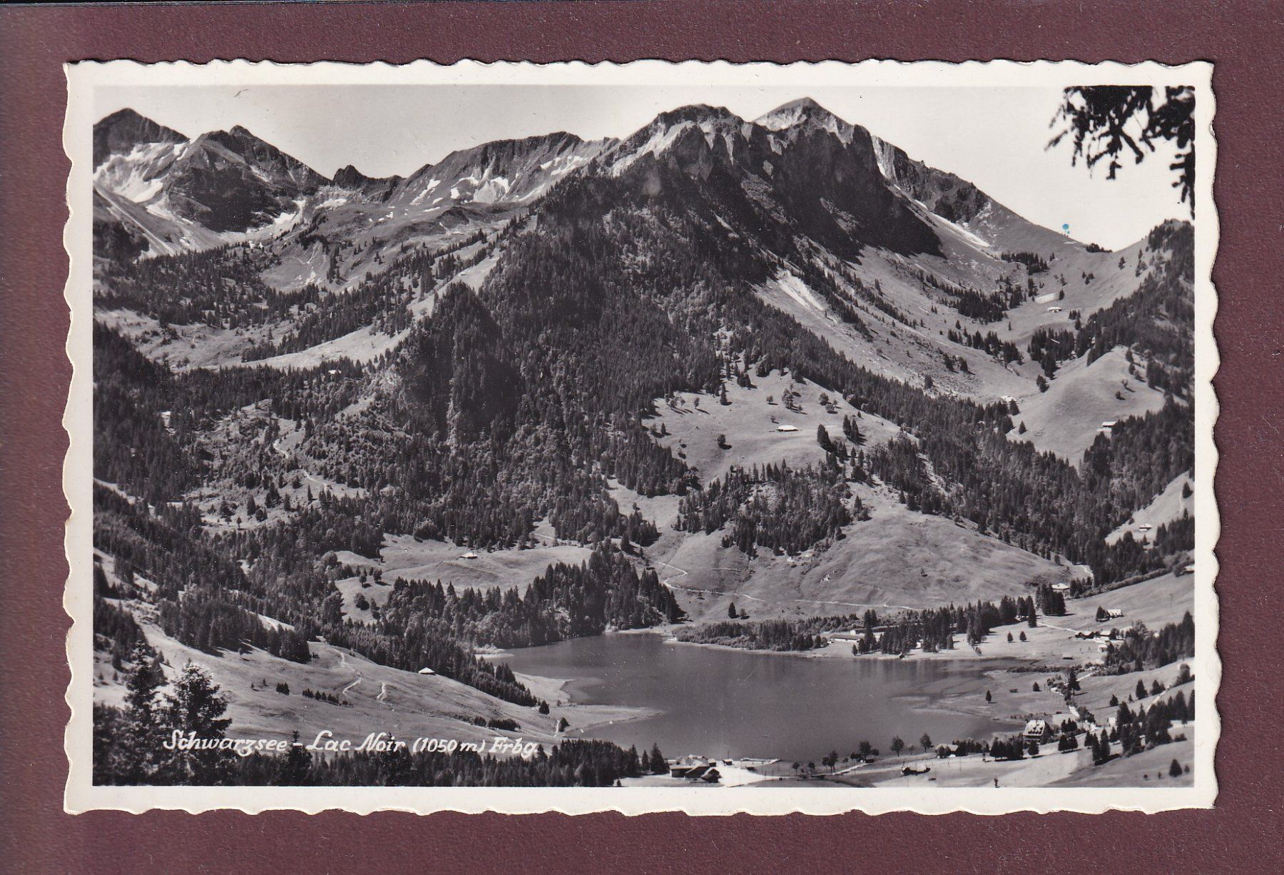 Cartoline postali: SCHWARZSEE / LAC NOIR - 1954 – Usato da Pully venduto da nicecards