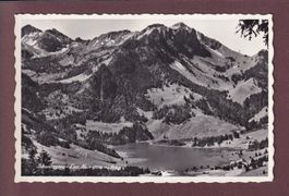 SCHWARZSEE / LAC NOIR - 1954