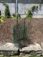 Gartenzaun Grün mit Pfosten