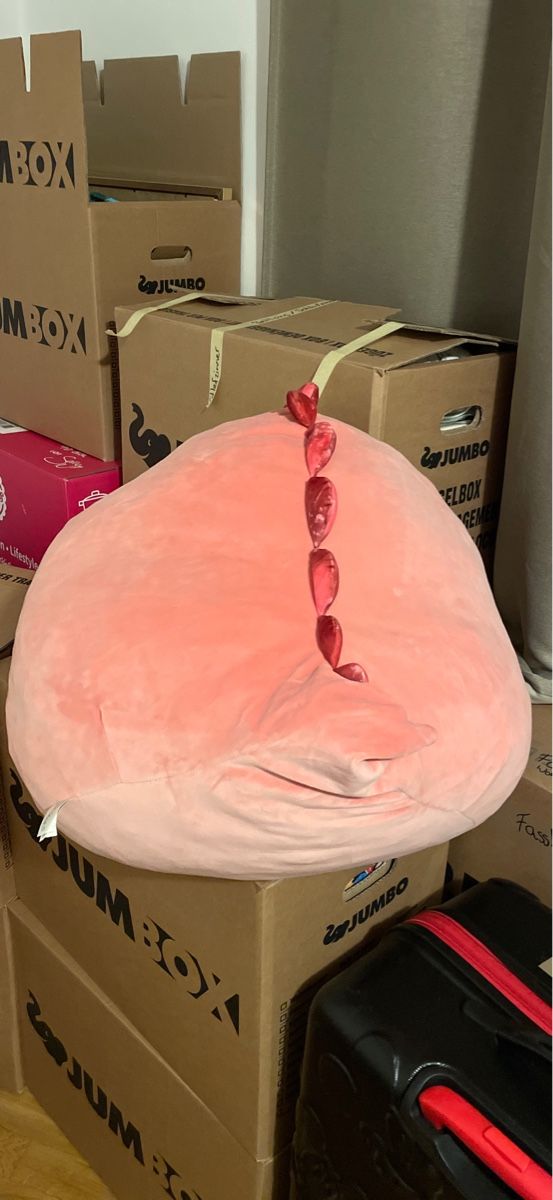 Cuscini: Squishmallow – Nuovo (secondo la descrizione) da Brüttisellen venduto da sar_2h8n 1