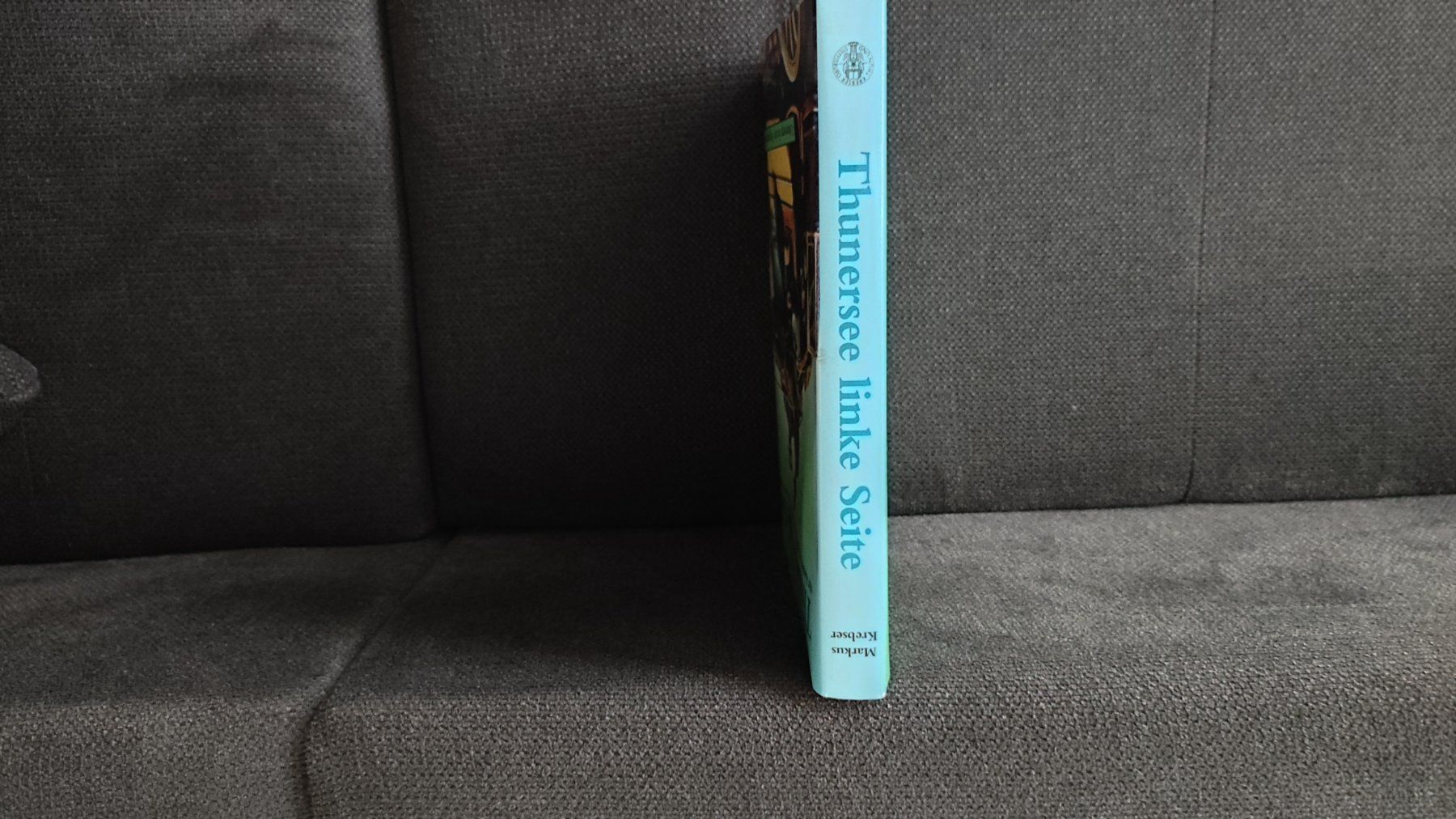 Libri: THUN - Mein Thunersee - 1. Auflage ab CHF 1.00 !!! – Usato da Thun venduto da art.design.BK 1