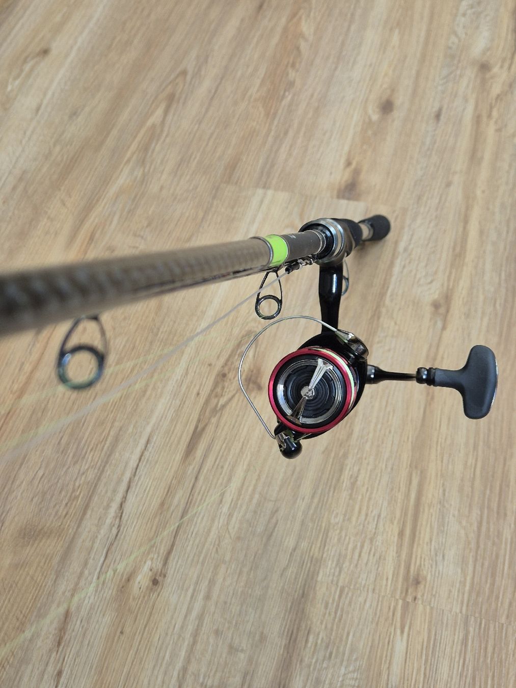Daiwa Canne da pesca: Daiwa Prorex inkl. Rolle – Nuovo (secondo la descrizione) da Beckenried venduto da fon_fc2l 7