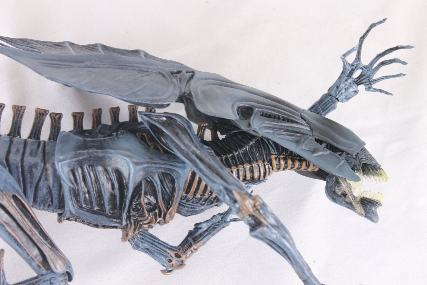 Neca Statuette: NECA blaue Alien Queen – Usato da Reinach BL venduto da bk_brockireinach 5