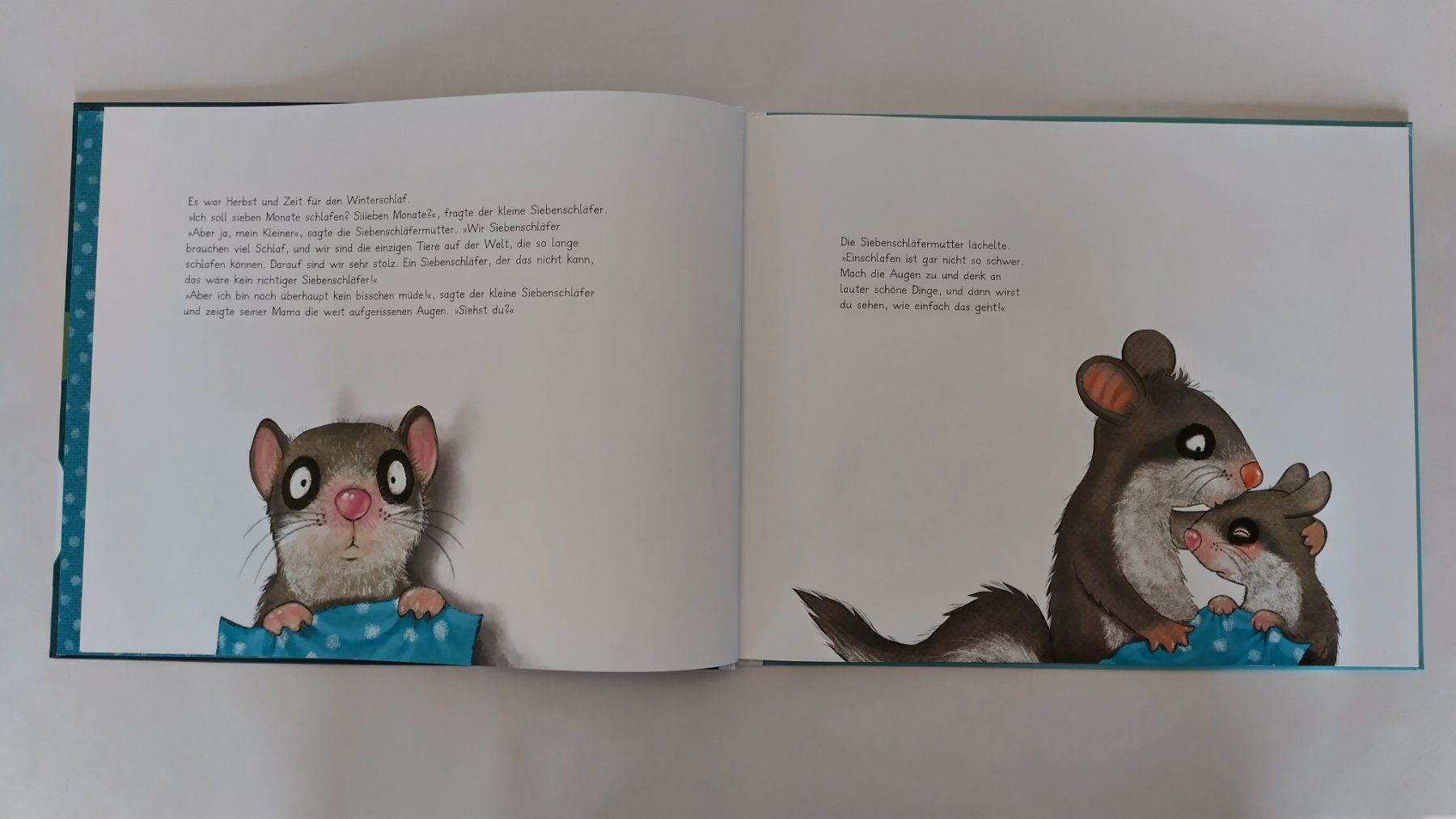 Livres: Die Geschichte vom kleinen Siebenschläfer, der nicht einschl – D'occasion à Bellach par JingleJerry 3