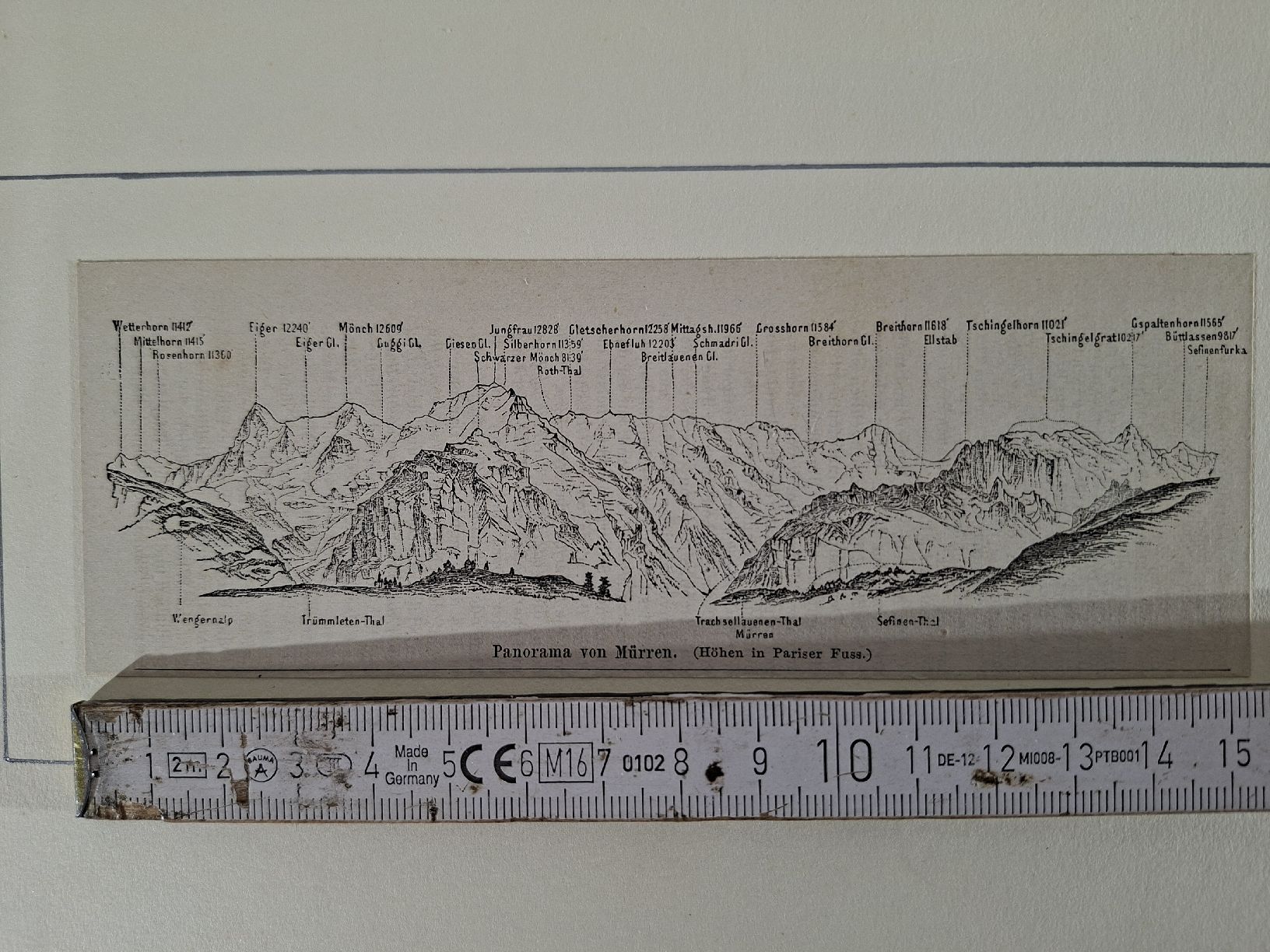 Incisioni: Lot  80 , 5 Stiche – Usato da Grindelwald venduto da carro5 3