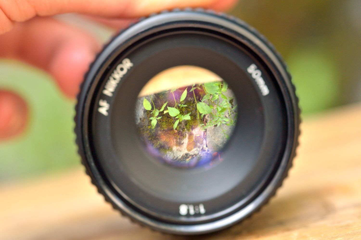 Nikon Objektive: Nikon AF 50mm f1.8 D – Gebraucht aus Lichtensteig von dan_rj7z 7