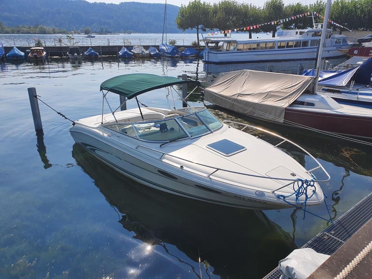 Sea Ray Barche: Bateau Sea ray ov 230 – Usato da Romont FR venduto da Djeb7 3