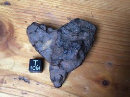 Twannberg Meteorit direkt vom Finder 100% Echt Garantiert