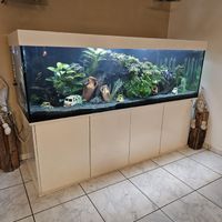 Aquarium Kombination 840 Liter 200x70x60 cm komplett