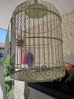 Vogelkfig dekorativ weiss mit Zubehoer guter Zustand