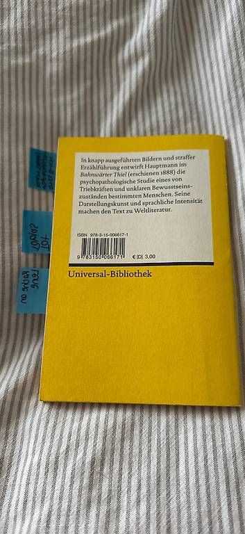 Bücher: Bahnwärter Thiel / Gerhart Hauptmann – Gebraucht aus Kirchdorf BE von lyn_5j7y 1