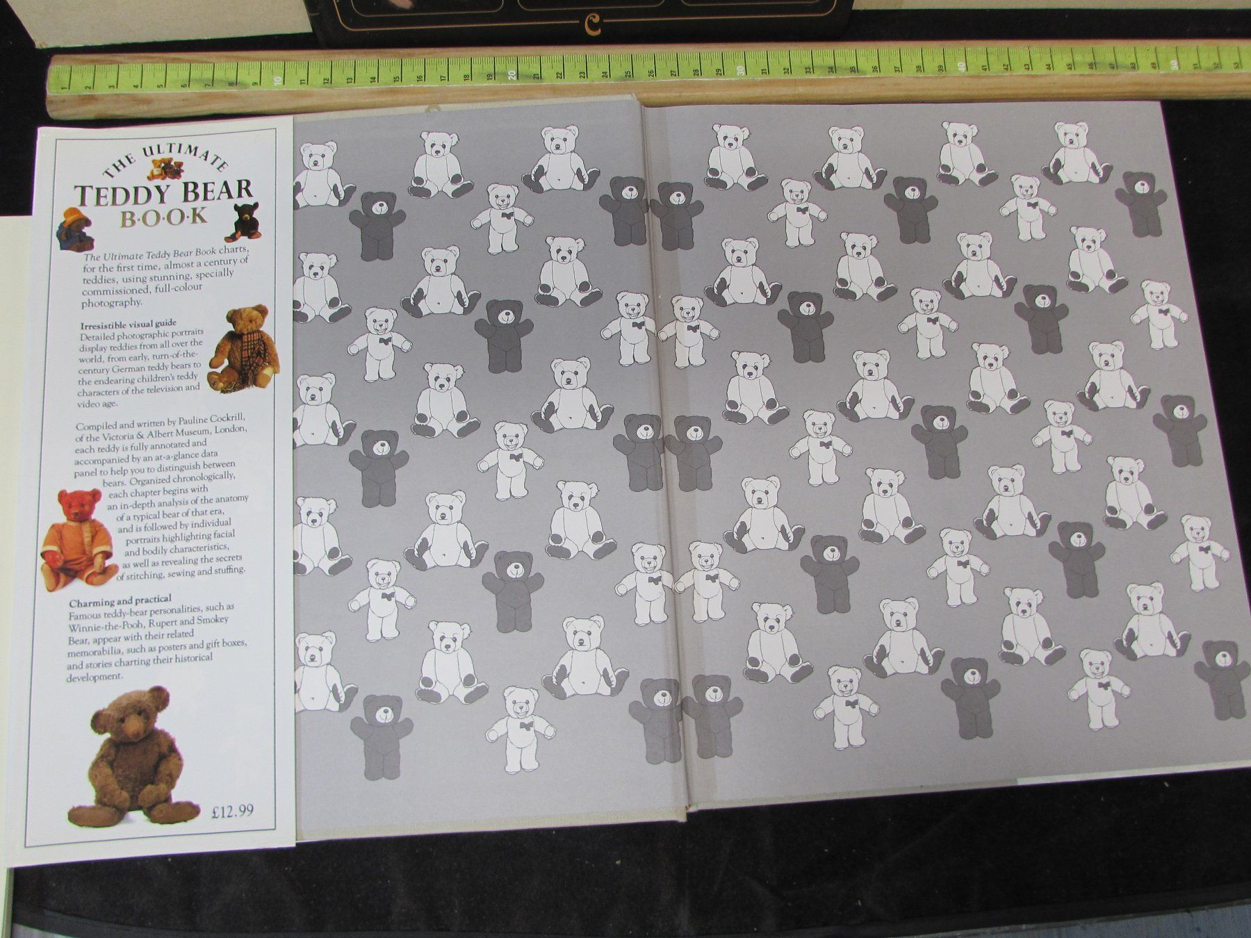 Bücher: Teddy-Bär sammeln – Gebraucht aus Walchwil von Shells1 5