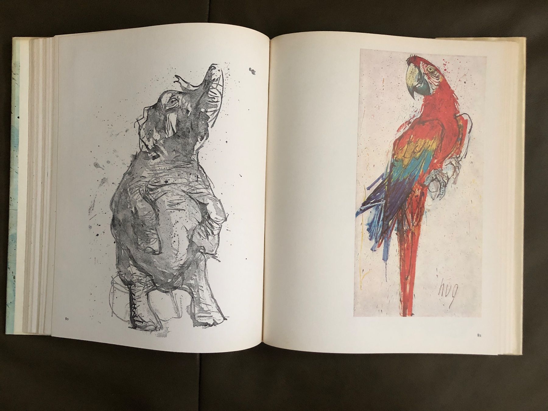 Libri: Buch Fritz Hug Maler der Tiere – Usato da Nunningen venduto da anclaudia 6