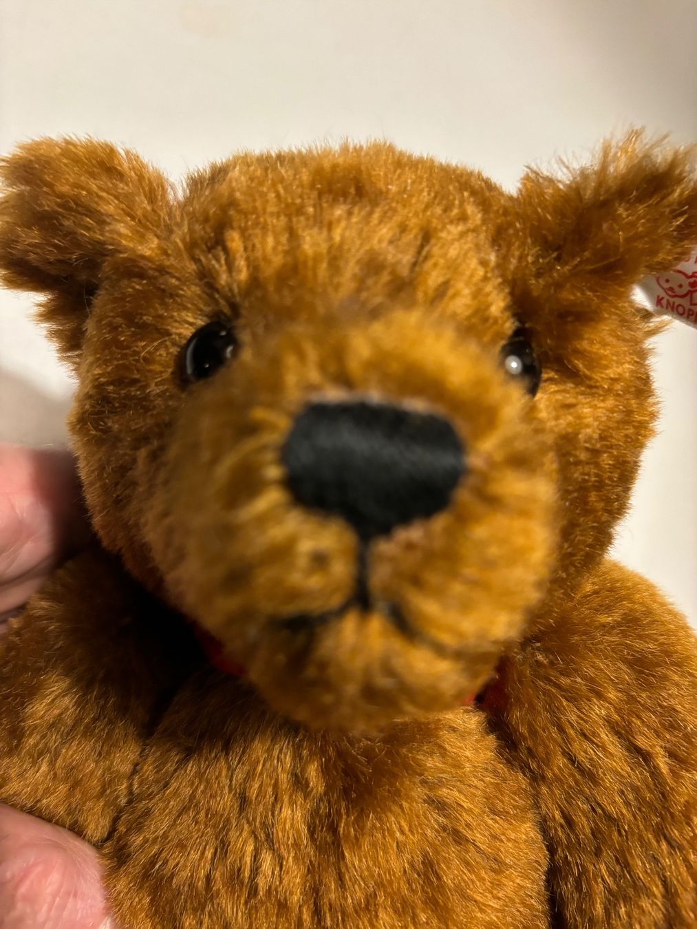 Steiff Giocattoli: Steiff Bär Steiff Club Edition 2003 – Usato da Hinwil venduto da DaniBachman 6