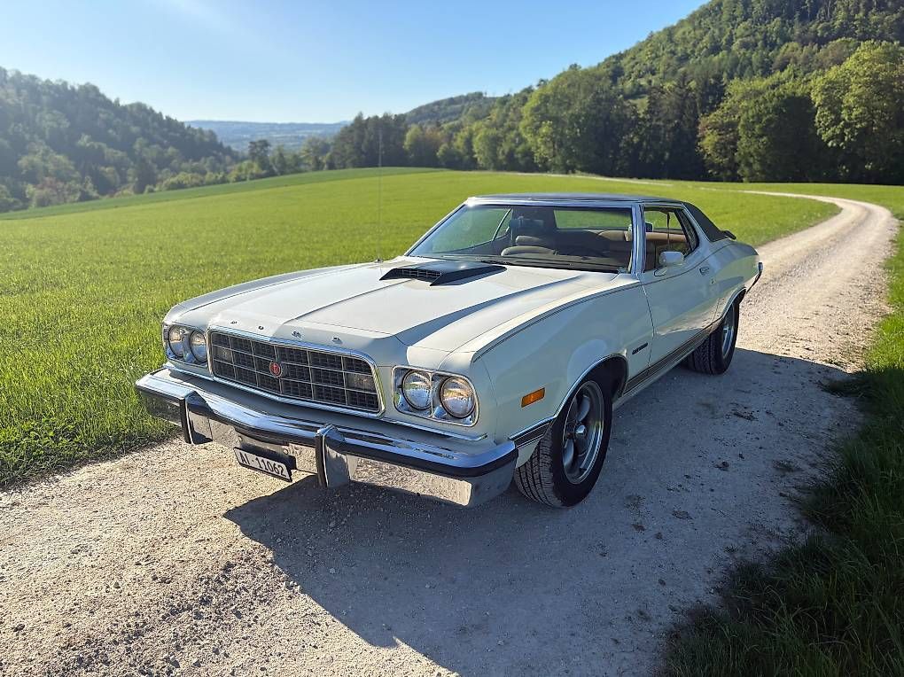 Ford (Usa) Automobili: Ford Gran Torino – Usato da Oberhofen AG venduto da StehrPe 1