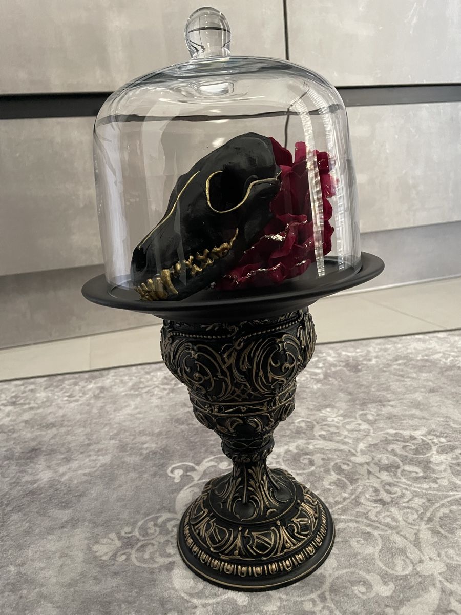 Altre raccolte & rarità: Barock Deco Echter Fuchsschädel – Nuovo e nell'imballaggio originale da Aeschi SO venduto da Uccio.lombe 3