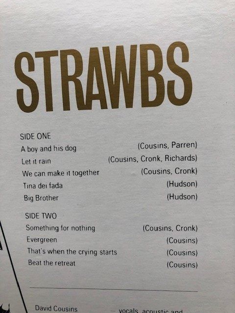 Dischi in vinile: The Strawbs – Usato da Aarwangen venduto da Jukebox3 3