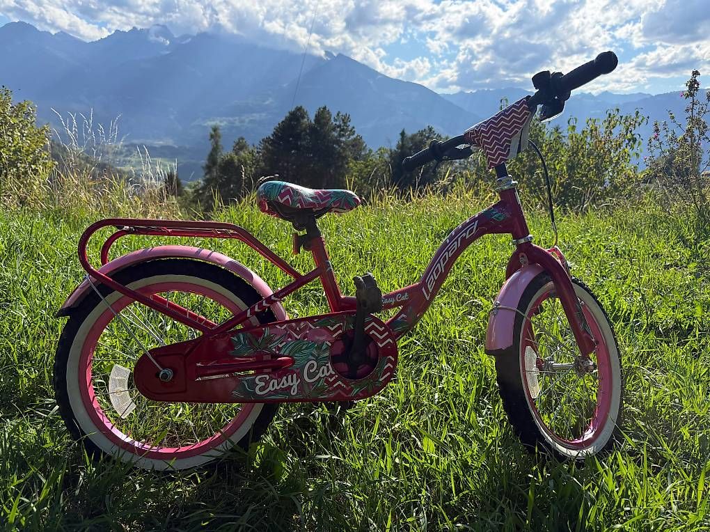Vélos: Vélo enfant  – D'occasion à Les Posses-sur-Bex par ali_5kpt