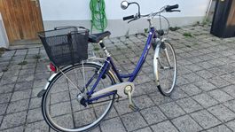 TDS Citybike / Damenvelo mit 7-Gang Nexus Nabenschaltung