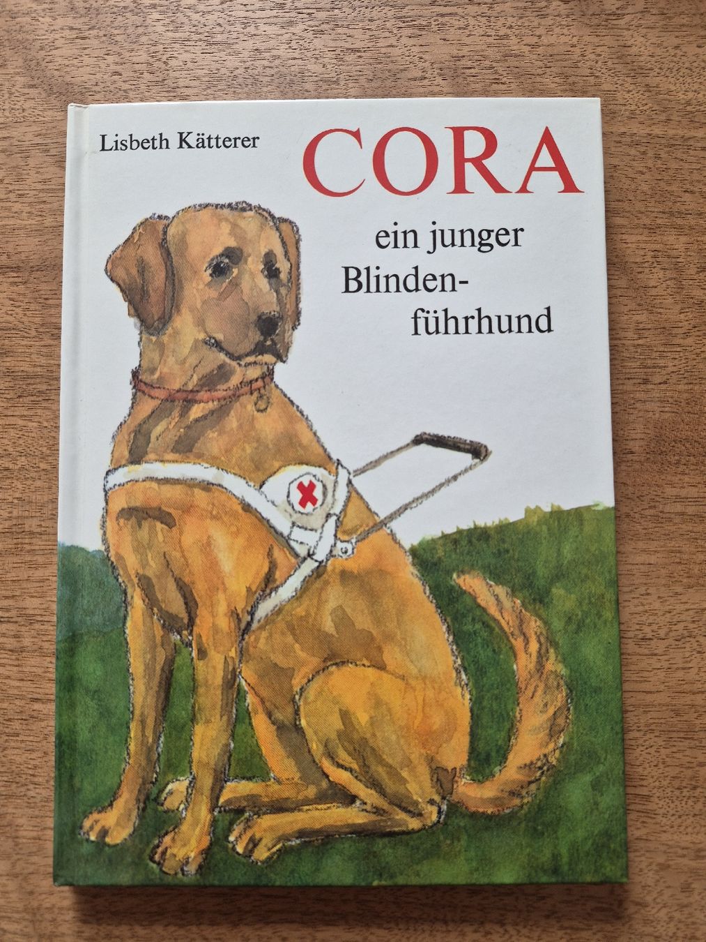 Libri: Buch CORA ein junger Blindenführhund von Lisbeth Kätterer – Usato da Olten venduto da bayoffires