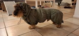 Hunde Wintermantel