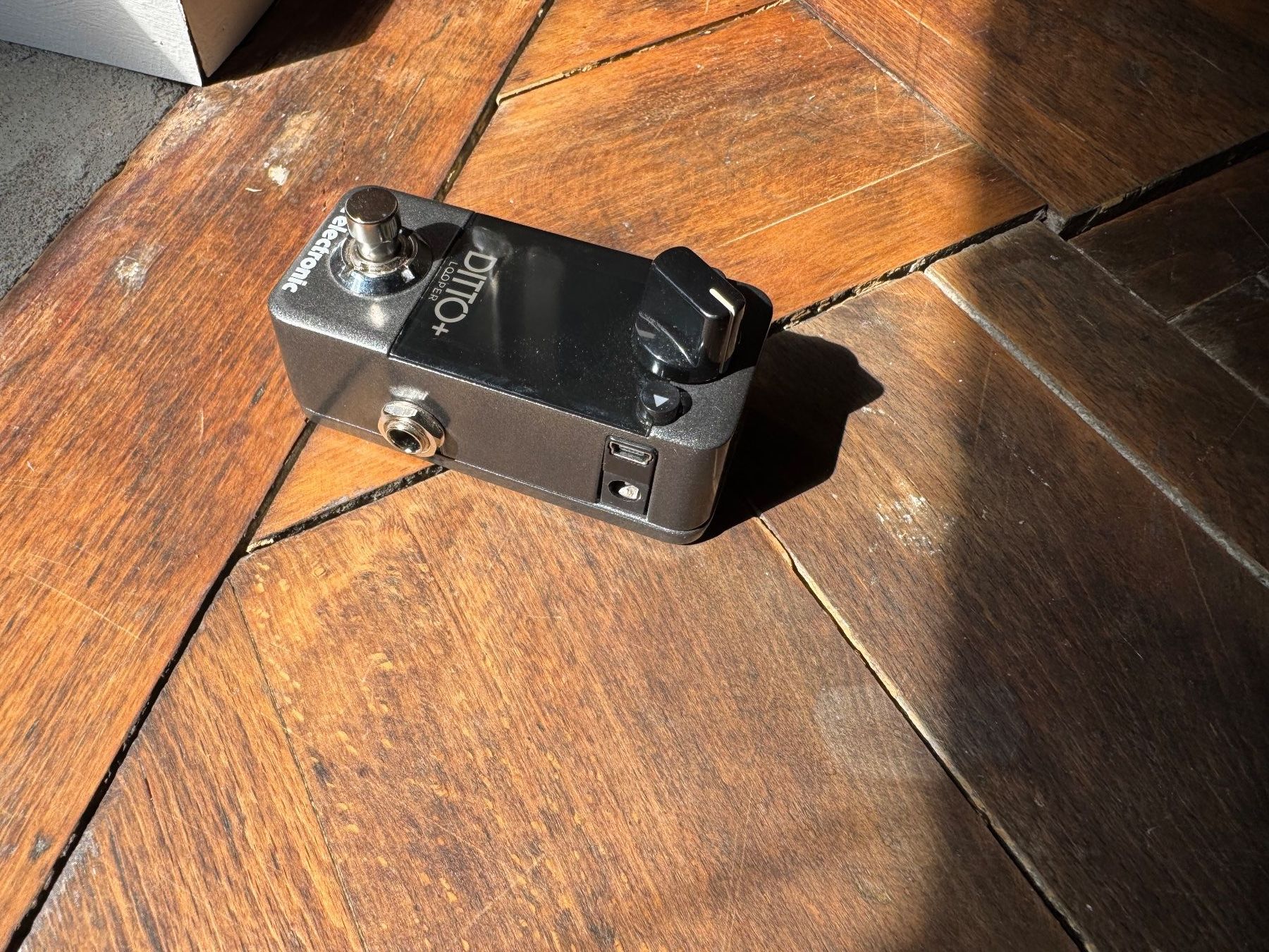 Musikinstrumente: TC Electronic Ditto+ Looper Pedal – Gebraucht aus Bern von A.W.S.R 1