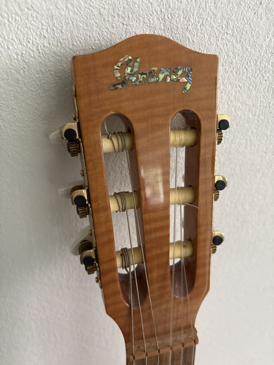 Ibanez Strumenti musicali: Ibanez Halb-Akustische Gitarre – Usato da Untervaz venduto da Bergmensch 2