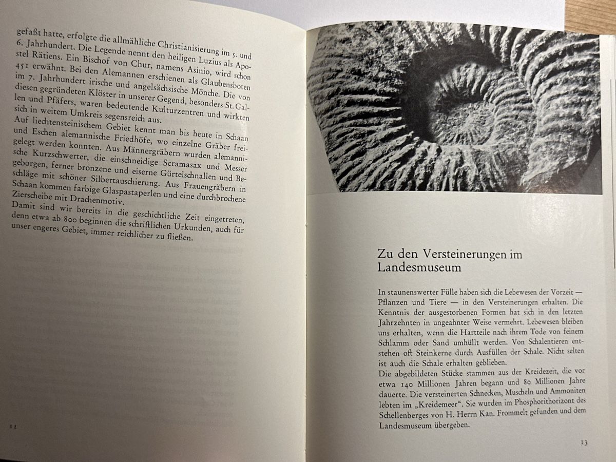 Libri: Landesmuseum Vaduz – Usato da Berschis venduto da Vild1 5