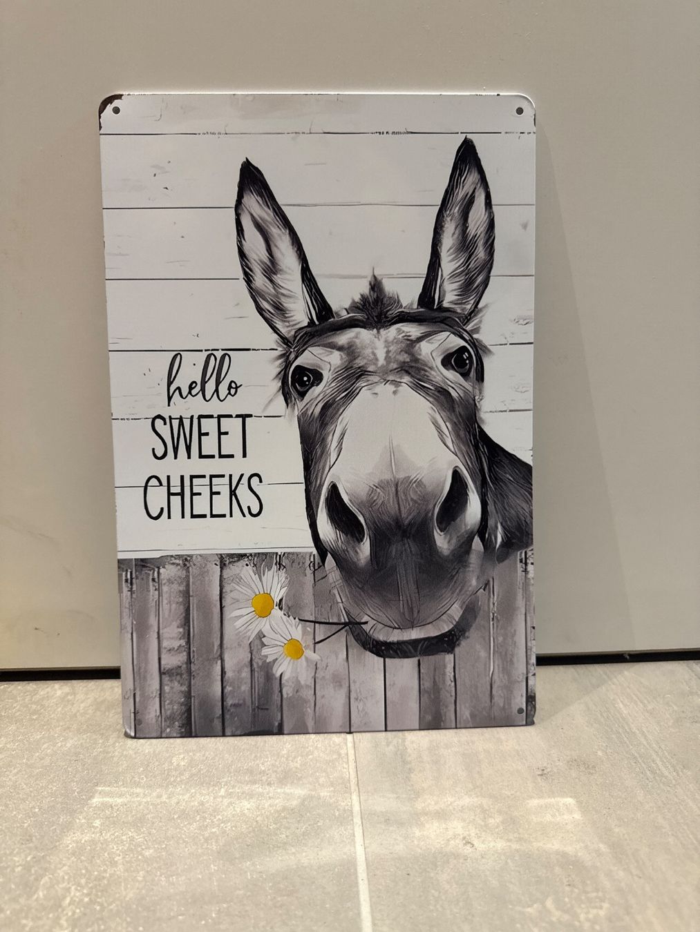 Ecriteaux: Hello SWEET CHEEKS / ANGEBOT METALL SCHILD – Neuf avec emballage d'origine à Seon par Aaargauer01 5