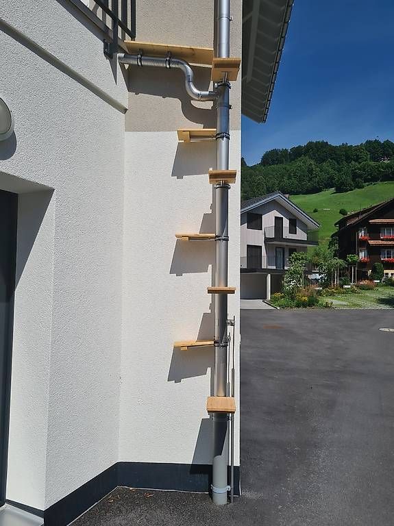Scale: Professionelle, stabile Katzenleiter nach Mass ! – Nuovo (secondo la descrizione) da Schwyz venduto da rol_c8ns 4