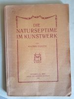 Buch Die Naturseptime im Kunstwerk 1926 Walter Hänzer