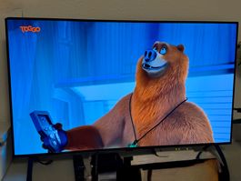 Lg OLED Serie 2 CH Modell wie NEU