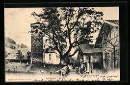 AK Adelboden, Kirche, 1906