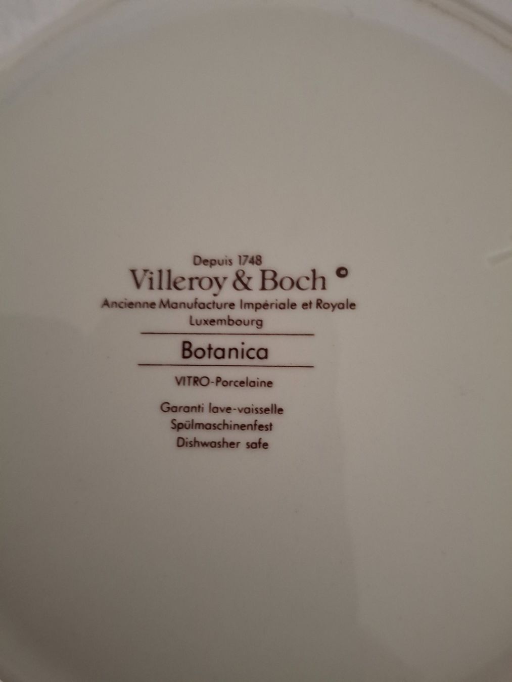 Villeroy & Boch Tutte le decorazioni: Villeroy & Boch Botanic Dose ,Top Zustand – Usato da St. Gallen venduto da ram_jb2y 2