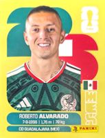 Carte FIFA World Cup 2026 MEX 19