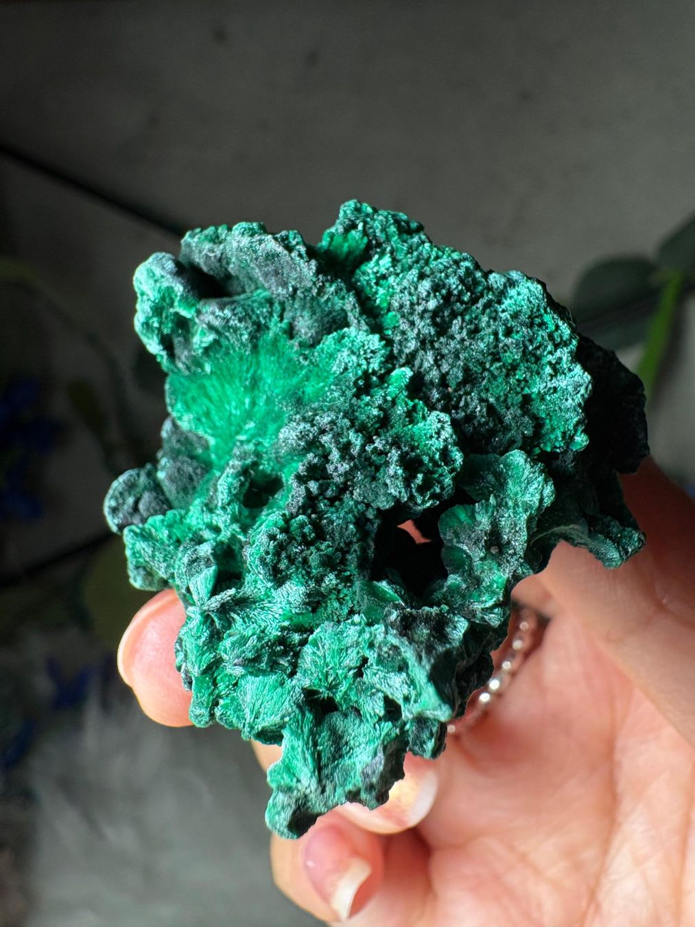 Minerali & Pietre curative: Malachit – Nuovo (secondo la descrizione) da Neuheim venduto da m.hald 1